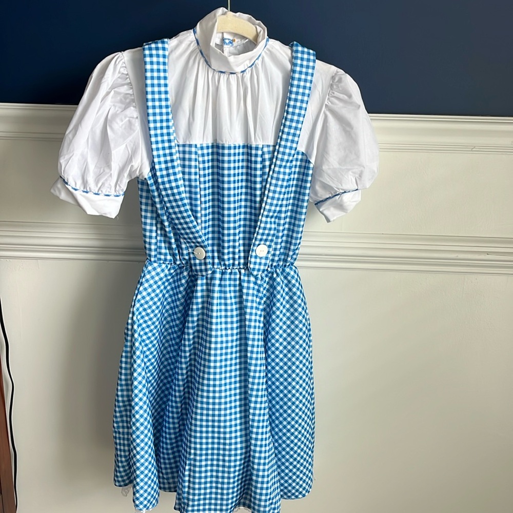 Oh Dorothy! 🌪️ 🏠🐕‍🦺 Dress and Ruby Slippers